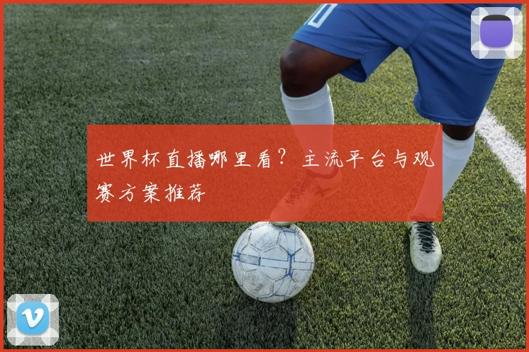 世界杯直播哪里看？主流平台与观赛方案推荐
