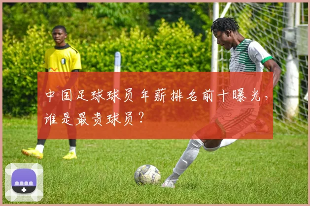 中国足球球员年薪排名前十曝光,谁是最贵球员?