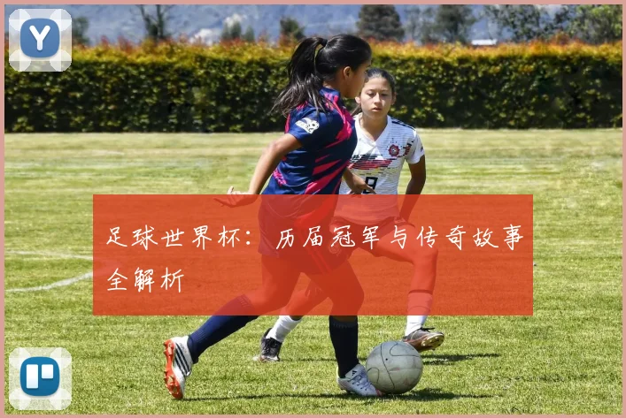 足球世界杯：历届冠军与传奇故事全解析